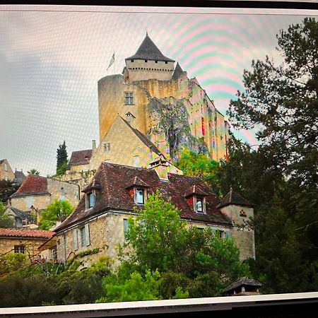 شقة Castelnaud Vue المظهر الخارجي الصورة