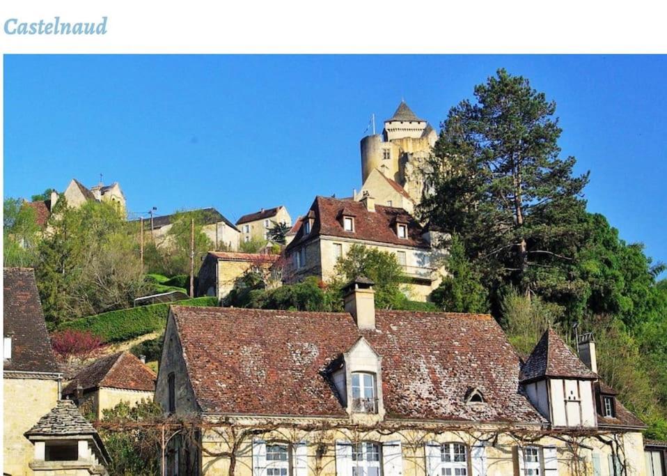 شقة Castelnaud Vue المظهر الخارجي الصورة